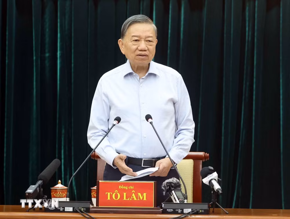 ttxvn_tong-bi-thu-chu-tich-nuoc-lam-viec-voi-ban-thuong-vu-thanh-uy-thanh-pho-ho-chi-minh-2.jpg