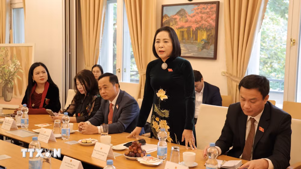 ttxvn_pho-chu-tich-quoc-hoi-nguyen-thi-thanh-tham-lam-viec-tai-cong-hoa-lien-bang-duc-2.jpg