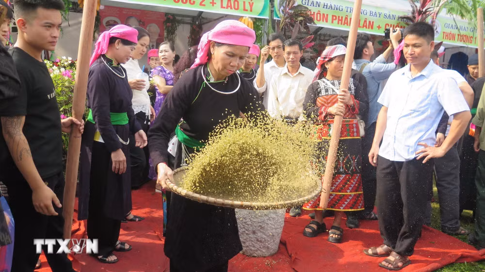 ttxvn_le-hoi-com-hop-thanh-1.jpg