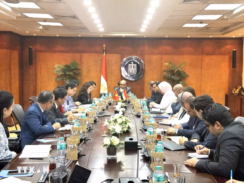 ttxvn-thu-truong-ngoai-giao-le-anh-tuan-tham-va-lam-viec-tai-ai-cap-2.jpg