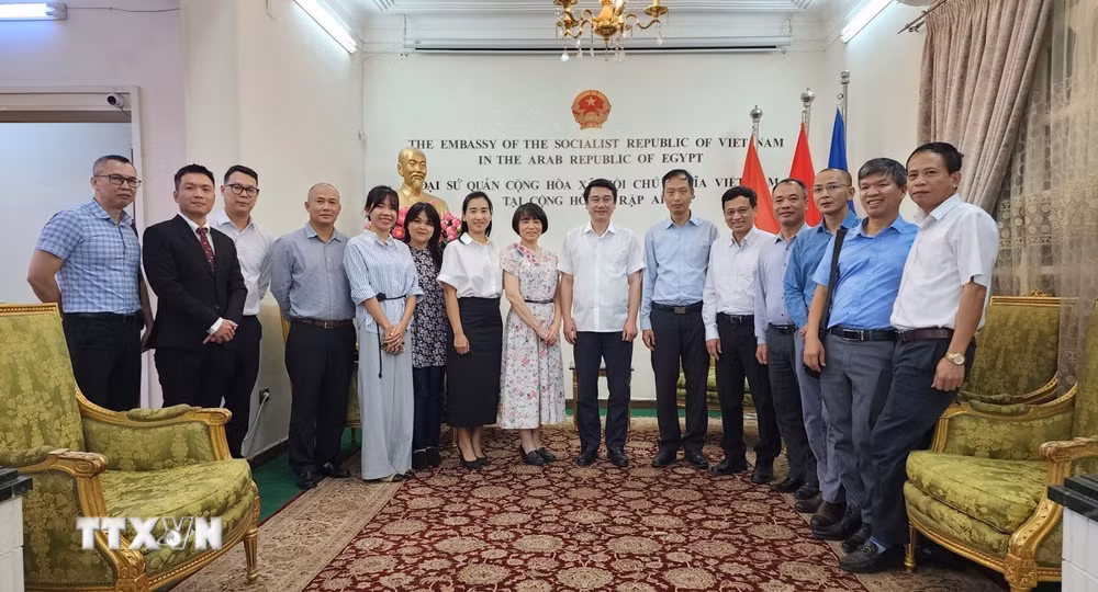 ttxvn-thu-truong-ngoai-giao-le-anh-tuan-tham-va-lam-viec-tai-ai-cap-4.jpg