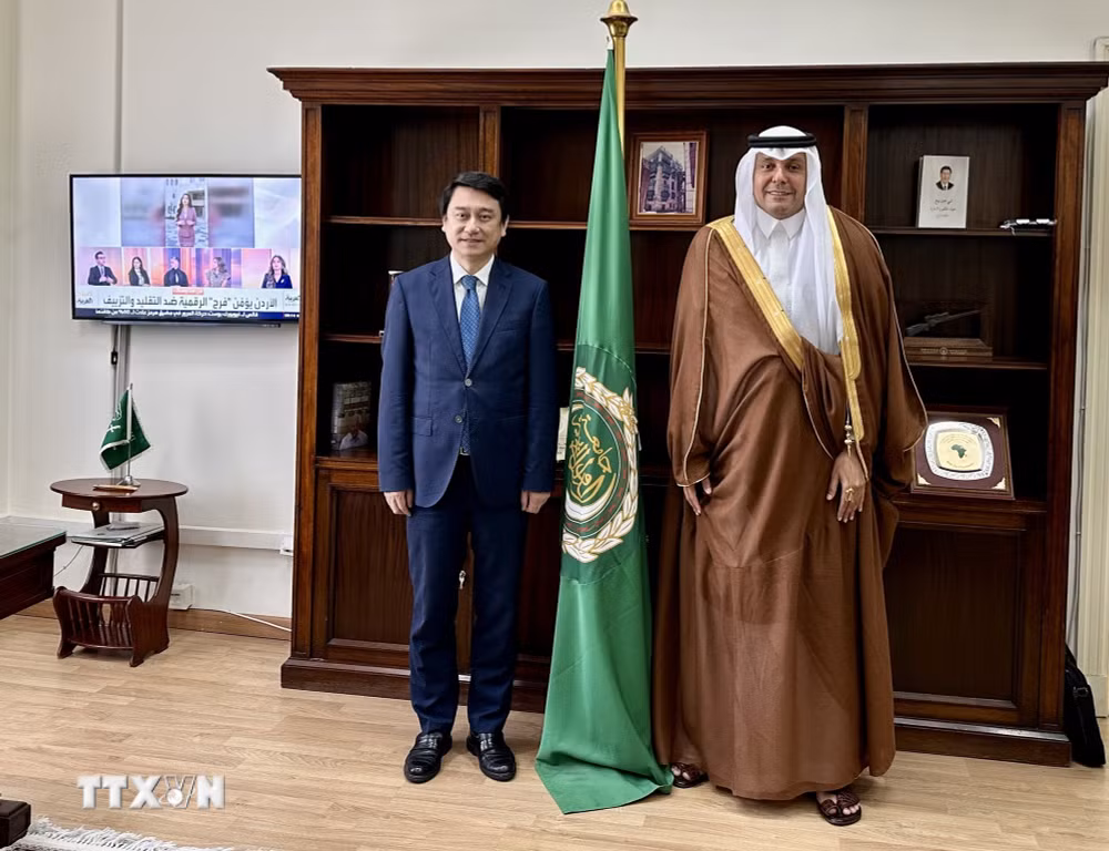 ttxvn-thu-truong-ngoai-giao-le-anh-tuan-tham-va-lam-viec-tai-ai-cap-6.jpg