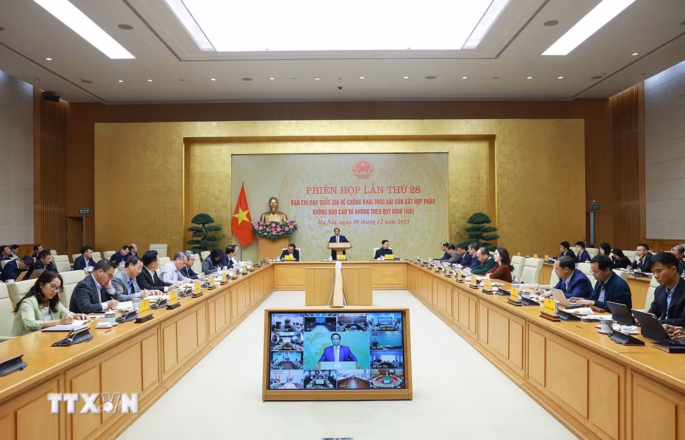 ttxvn-thu-tuong-chu-tri-phien-hop-lan-thu-28-cua-bcd-chong-khai-thac-hai-san-bat-hop-phap-iuu-2.jpg