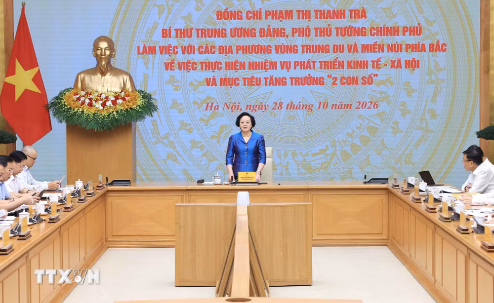 ttxvn_pho-thu-tuong-pham-thi-thanh-tra-lam-viec-voi-cac-dia-phuong-vung-trung-du-va-mien-nui-phia-bac-3.jpg