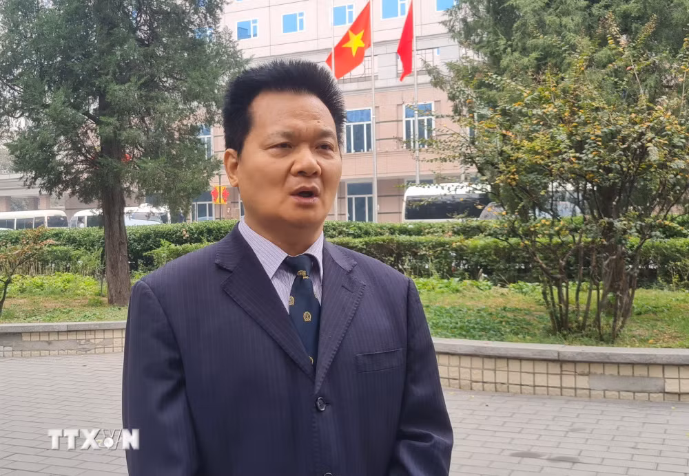 ttxvn_chuyen-gia-vuong-han-linh.jpg