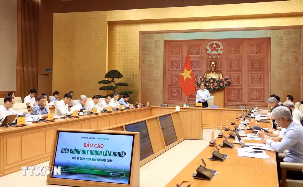 ttxvn-pho-thu-tuong-ho-quoc-dung-hop-hoi-dong-tham-dinh-dieu-chinh-quy-hoach-lam-nghiep-1.jpg