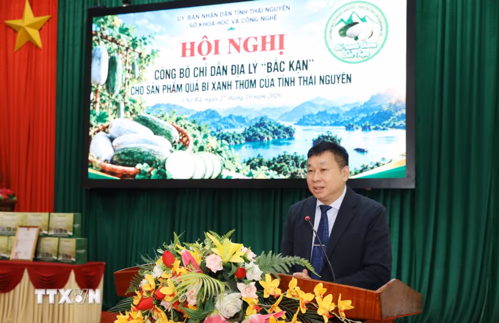 ttxvn_bi-xanh-thom-thai-nguyen-2.jpg