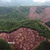Một diện tích lớn rừng tự nhiên đã bị chặt phá tại xã Bố Trạch, Quảng Trị, nằm xen kẽ với những khoảnh rừng còn xanh tốt. (Ảnh: Tá Chuyên/TTXVN)