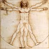 Bức họa “The Vitruvian Man” 