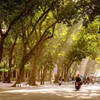 Ảnh minh họa. Khánh Hòa/TTXVN)