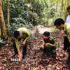 Việc kịp thời đưa cá thể động vật này trở lại rừng không chỉ giúp bảo tồn nguồn gen quý hiếm mà còn góp phần duy trì sự cân bằng hệ sinh thái tại địa phương. (Ảnh: TTXVN phát)