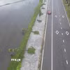 Hàng trăm cây xanh đổ ngã, bật gốc trên tuyến đường Phú Mỹ-Thuận An. (Ảnh: Mai Trang/TTXVN)