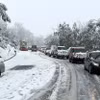 Tuyết rơi dày chưa từng có trong nhiều thập kỷ. (Nguồn: The Watchers)