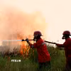 Lính cứu hỏa nỗ lực dập lửa cháy rừng ở Indonesia. (Ảnh: THX/TTXVN phát)