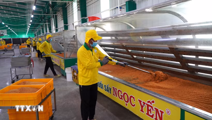Công ty TNHH Sản xuất thực phẩm nông sản Ngọc Yến ứng dụng khoa học, công nghệ vào sản xuất. (Ảnh: Nhựt An/TTXVN)