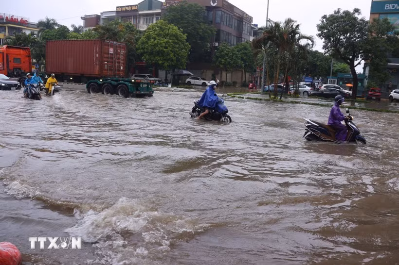 (Ảnh minh họa. Văn Điệp/TTXVN)