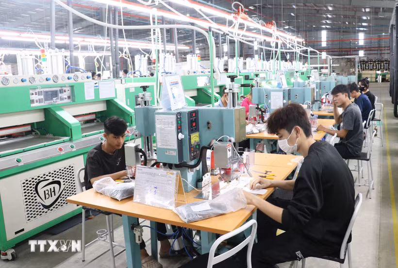 Công nhân thực hiện các công đoạn sản xuất trong dây chuyền công nghiệp, thể hiện năng lực sản xuất ngày càng được nâng cao của doanh nghiệp Tây Ninh. (Ảnh: Bùi Giang/TTXVN)