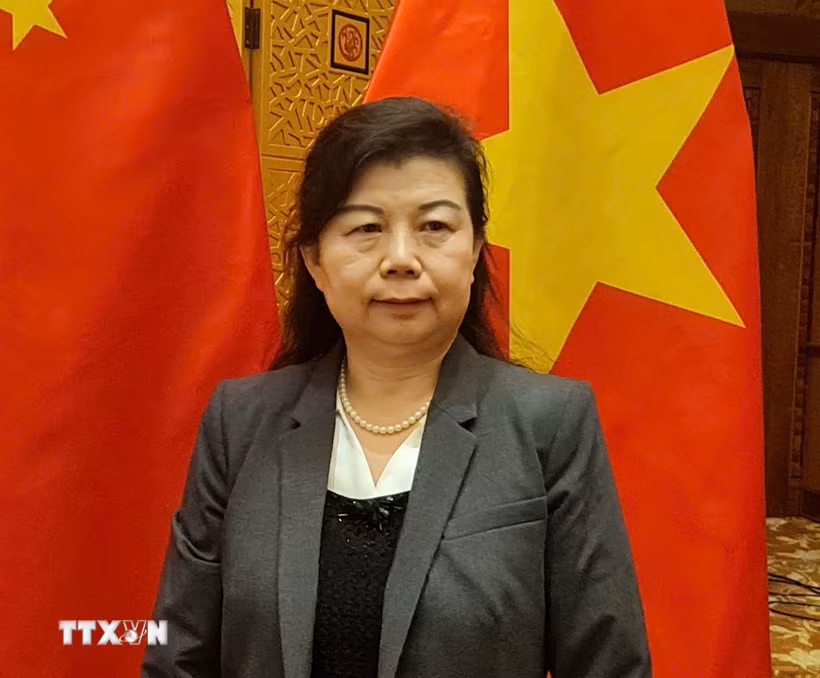 Bà Lưu Anh, nghiên cứu viên Viện Nghiên cứu Tài chính Trùng Dương, Đại học Nhân dân Trung Quốc, nhận định chuyến thăm Trung Quốc của Chủ tịch Quốc hội Trần Thanh Mẫn có ý nghĩa quan trọng. (Ảnh: Quang Hưng/TTXVN)