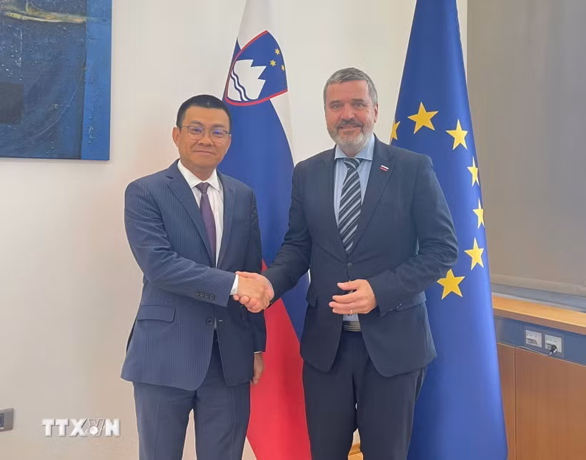 Đại sứ Việt Nam tại Áo kiêm nhiệm Slovenia Vũ Lê Thái Hoàng chào xã giao và làm việc với Bộ trưởng Ngoại giao Slovenia Tone Kajzer. (Ảnh: TTXVN phát)