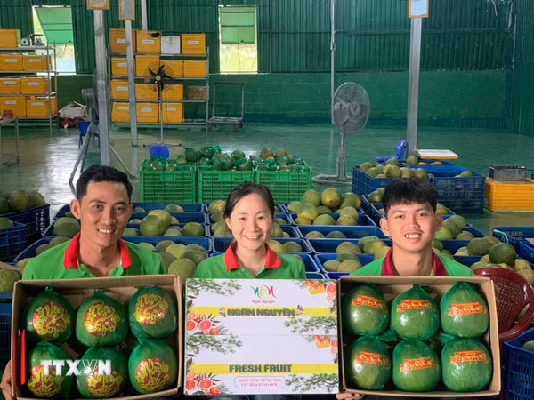 Khánh Hòa ban hành chính sách hỗ trợ hoạt động xúc tiến thương mại