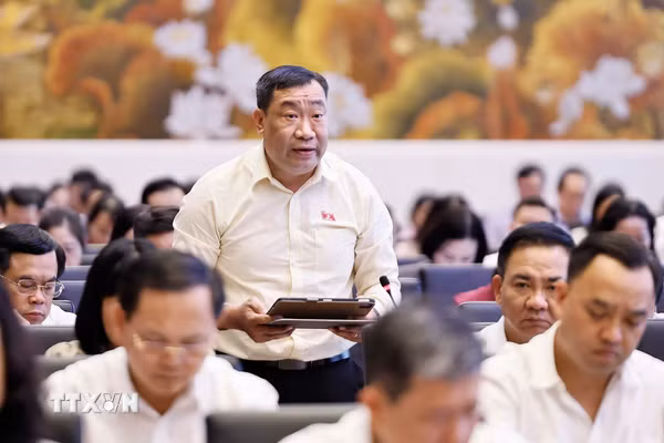 Xác định rõ tiêu chí nhận diện đối tượng tham gia bảo hiểm xã hội bắt buộc