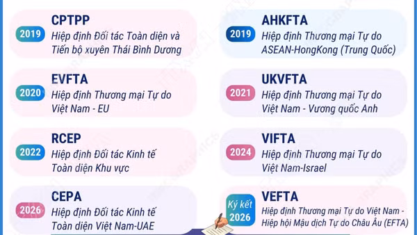 Các FTA Việt Nam tham gia tính đến tháng 10 năm 2026