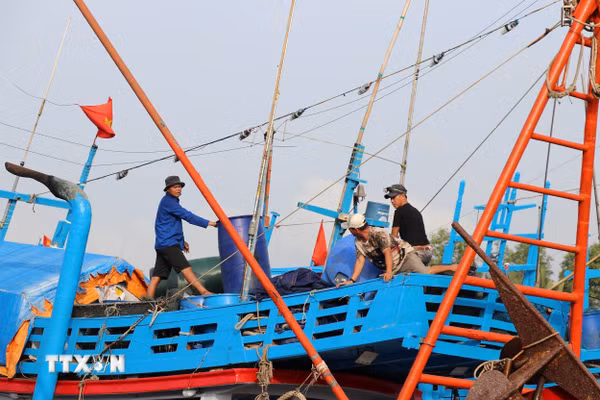 Đồng Tháp kiểm soát chặt tàu cá, tăng hiệu quả chống khai thác IUU từ cơ sở