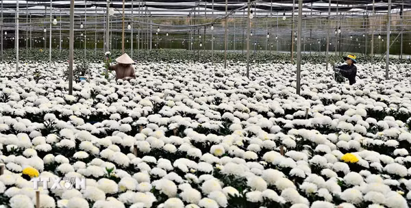 Minh bạch nguồn gốc, củng cố chuỗi liên kết