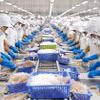 Chuyên gia ADB nhận định kinh tế Việt Nam được kỳ vọng vẫn sẽ vững vàng trong năm 2025. (Ảnh: Vietnam+)