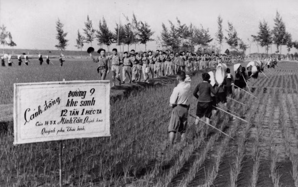 Phong trào Thanh niên ''Ba sẵn sàng'' của Thái Bình: Người lên đường chiến đấu, người ở lại hậu phương thi đua sản xuất dưới bom đạn, (tháng 8/1964), sau khi Mỹ mở rộng đánh phá bằng không quân ra miền Bắc trong kháng chiến chống Mỹ, cứu nước. (Ảnh: Tư liệu TTXVN)