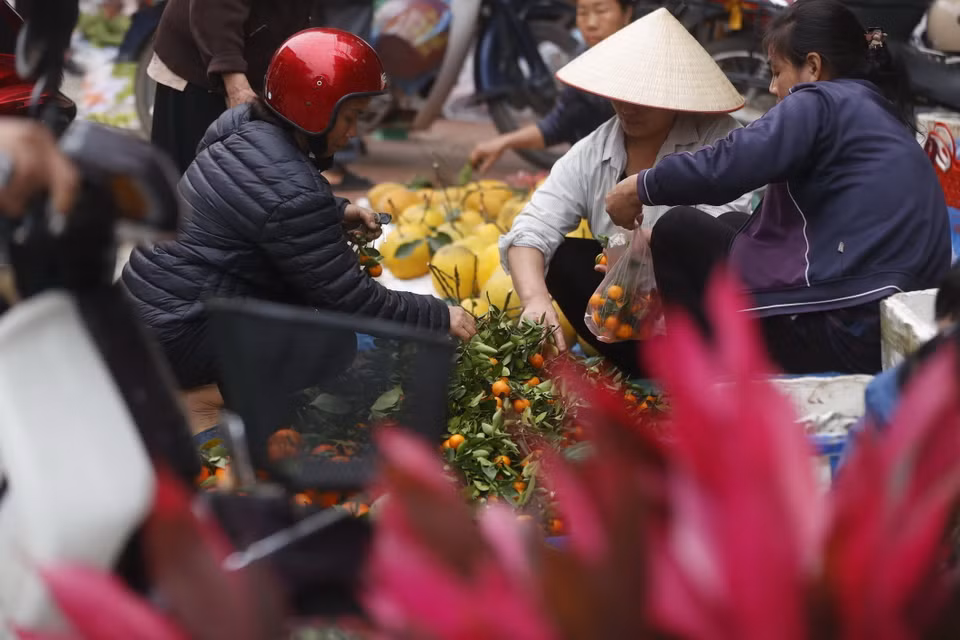 Người dân mua sắm, chuẩn bị cho Tết cổ truyền. (Ảnh: Minh Quyết/TTXVN)