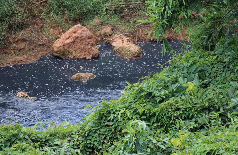 Nước Suối Tân chuyển thành màu đen như mực, đặc quánh, bốc mùi hôi nồng nặc kéo dài hàng chục cây số. (Ảnh: Đậu Tất Thành/TTXVN)