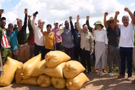 Đại diện Công ty Agri VMA, kỹ sư Việt Nam và Cuba, nông dân và quan chức Cuba vui mừng trước năng suất cao của cánh đồng lúa. (Ảnh: Việt Hùng/TTXVN)