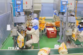 Đóng gói gạo xuất khẩu tại nhà máy của Công ty Lương thực Thạo Sơn. (Ảnh: Công Mạo/TTXVN)