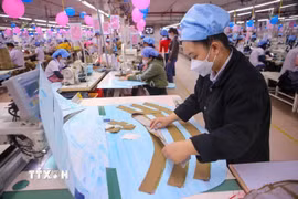 May xuất khẩu tại Công ty Cổ phần Dệt may 29/3 (Đà Nẵng). (Ảnh: Trần Lê Lâm/TTXVN)