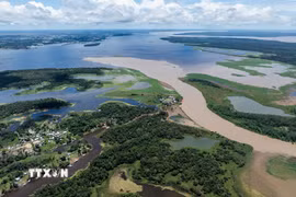 Sông Amazon tại Manaus, bang Amazonas (Brazil). (Ảnh: THX/TTXVN)