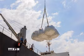 Khối lượng xuất khẩu gạo của Việt Nam trong tháng 9/2025 giảm mạnh. (Ảnh: Công Mạo/TTXVN)