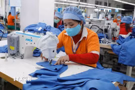 May hàng xuất khẩu sang thị trường Nhật Bản tại Công ty may Hưng Việt, Phố Nối (Hưng Yên). (Ảnh: Trần Việt/TTXVN)