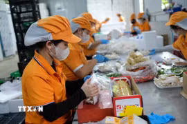Kinh tế tư nhân là lực lượng tiên phong để thúc đẩy tăng trưởng, tạo việc làm, nâng cao năng suất. (Ảnh: Nguyễn Dũng/TTXVN)