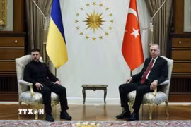 Tổng thống Ukraine Volodymyr Zelensky (trái) và Tổng thống Thổ Nhĩ Kỳ Tayyip Erdogan tại cuộc gặp ở Ankara ngày 15/5/2025. (Reuters/TTXVN)