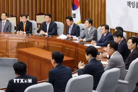 Một phiên họp của đảng Quyền lực Quốc dân (PPP) ở Seoul hồi tháng 12 năm ngoái. (Ảnh minh họa: Yonhap/TTXVN)