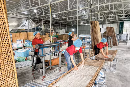Tổng dư nợ tín dụng chính sách đạt hơn 454.000 tỷ đồng trong 6 tháng đầu năm. (Ảnh: Vietnam+)