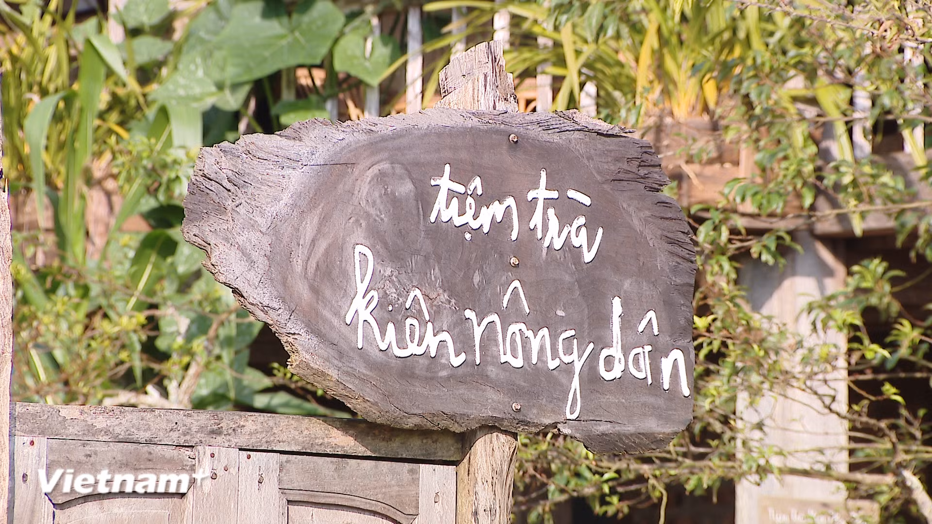 vnp_kien-nong-dan1-2.png