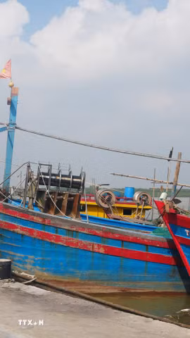 Một góc bến cá Lạch Trường (xã Hoằng Tiến, tỉnh Thanh Hóa). (Ảnh: Hoa Mai/TTXVN)