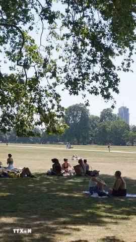 Người dân dưới bóng cây trong công viên ở London, Anh. (Ảnh: THX/TTXVN phát)
