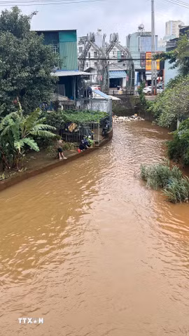 Nhiều nhà cửa của người dân trên địa bàn phường Pleiku, tỉnh Gia Lai ngập sâu trong nước. (Ảnh: Hoài Nam/TTXVN)