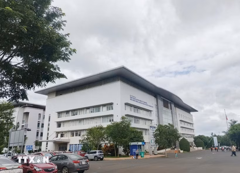 Có 255 trường hợp áp sai mã dịch vụ kỹ thuật “nội soi tán sỏi” trong thanh toán bảo hiểm y tế tại Bệnh viện Đa khoa vùng Tây Nguyên. (Ảnh: Tuấn Anh/TTXVN)