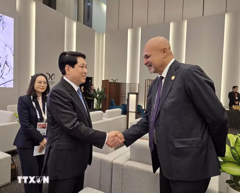 Chủ tịch nước Lương Cường gặp Phó Thủ tướng, Trưởng đoàn Papua New Guinea John Rosso. (Ảnh: TTXVN phát)