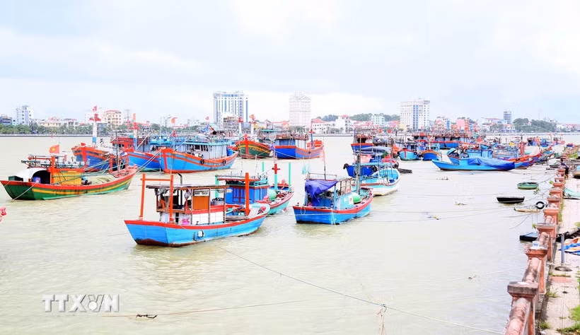 Ảnh minh họa. (Nguồn: TTXVN)