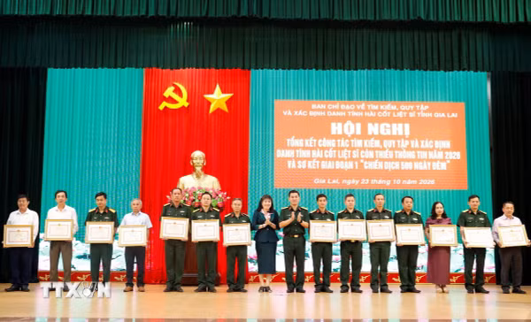 Gia Lai mở rộng địa bàn khảo sát tìm mộ liệt sỹ